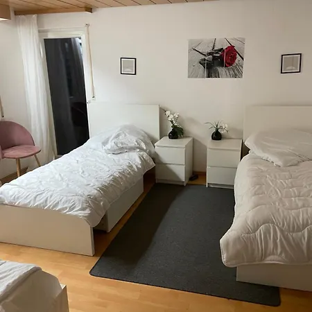 Für Firmen Ab 6 Monate Linsengericht