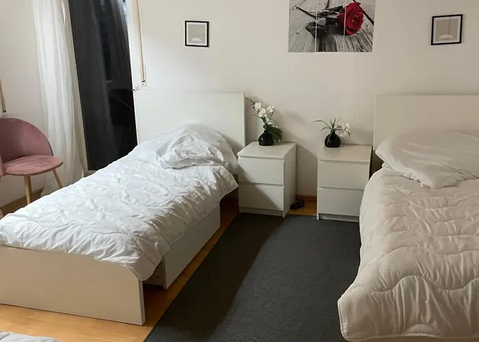 Fuer Firmen Ab 6 Monate Linsengericht